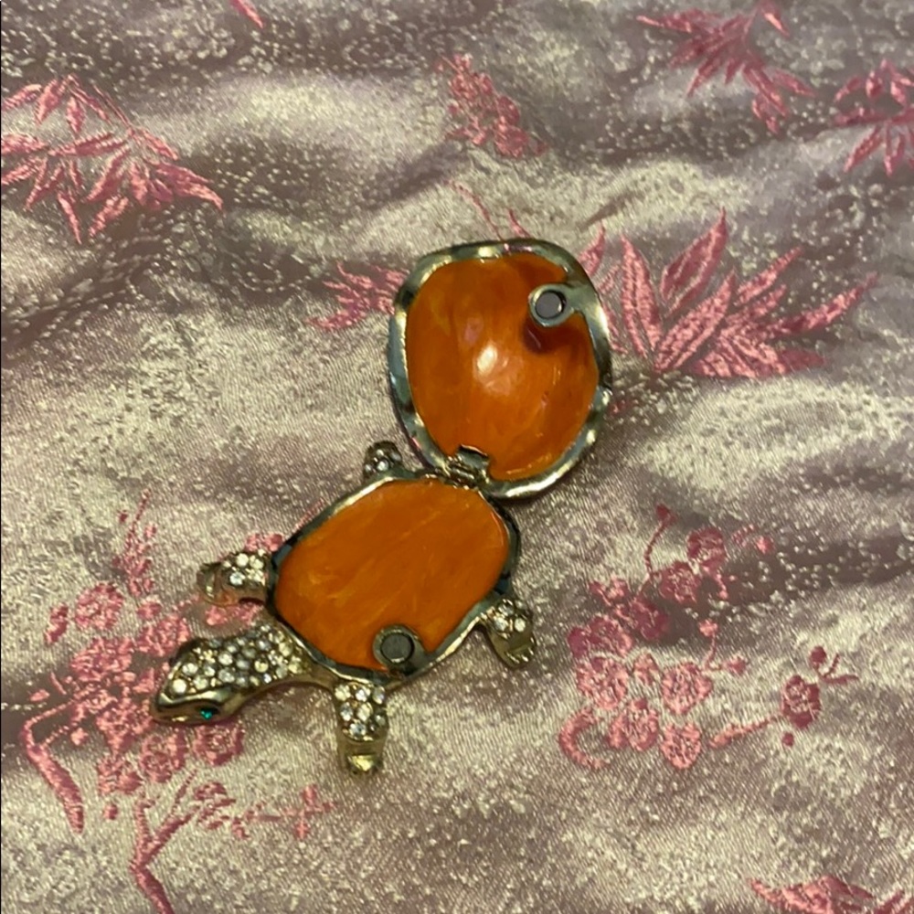 Turtle - Picture 2 of 2